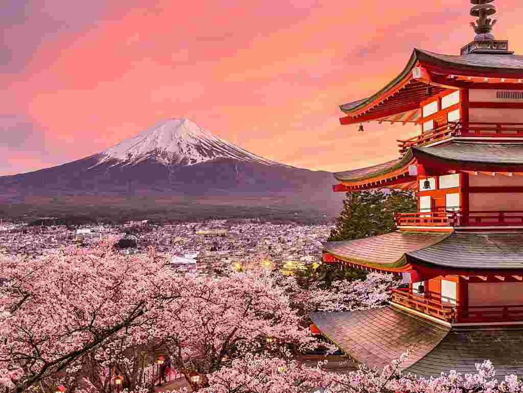 تدریس خصوصی زبان ژاپنی قبولی در آزمون jlpt، بورسیه سفارت، ژاپنی تجاری