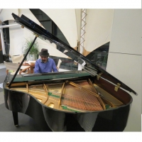 مدرس تخصصی پیانو - پانزده سال سابقه تدریس پیانو در آموزشگاه‌های موسیقی موزیکال و افرا