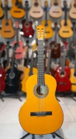 تدریس خصوصی گیتار پاپ و فلامنکو ویژه بانوان و کودکان 